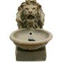 Ubbink Acqua Arte Waterornament Basel Voorbeeld